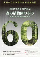 水果老虎机_水果机游戏-中彩网官网推荐ֲ@ _@60؄eչʾɭֲ@Κiߡ_ߣƽ2661ա29գ